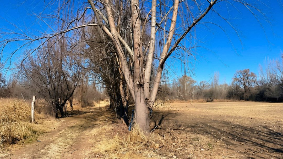 Venta Lote Tunuyán