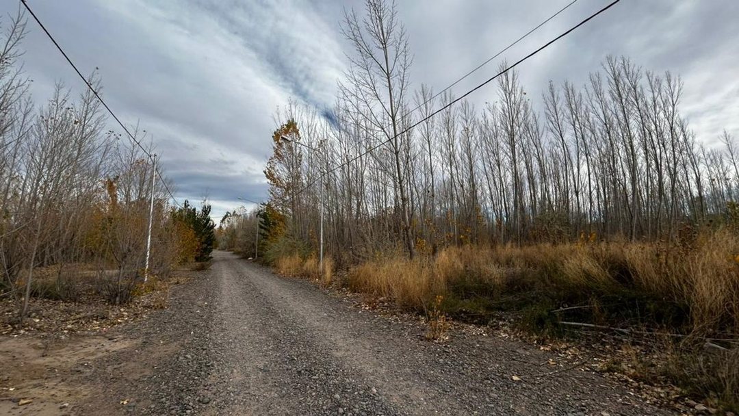 LOTE EN VENTA LA FORESTADA, AÑELO, NEUQUEN