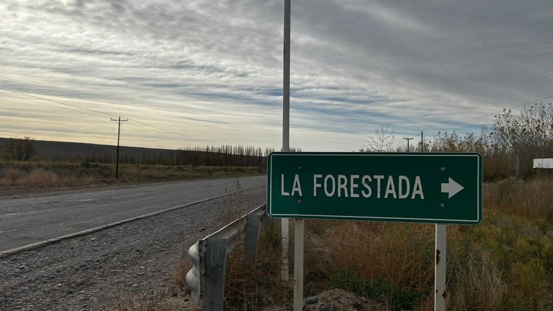 SEIS LOTES EN VENTA, LA FORESTADA, AÑELO, NEUQUEN
