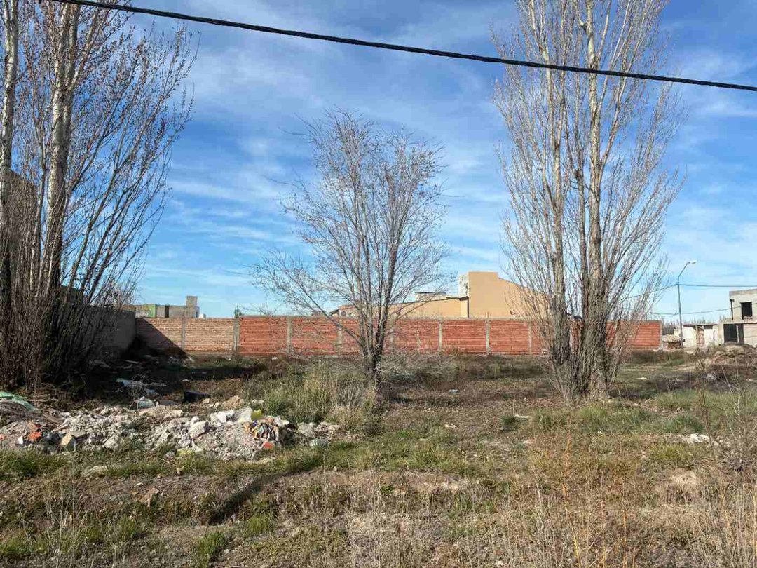 LOTE RESIDENCIAL 382m2 EN GENERAL ROCA