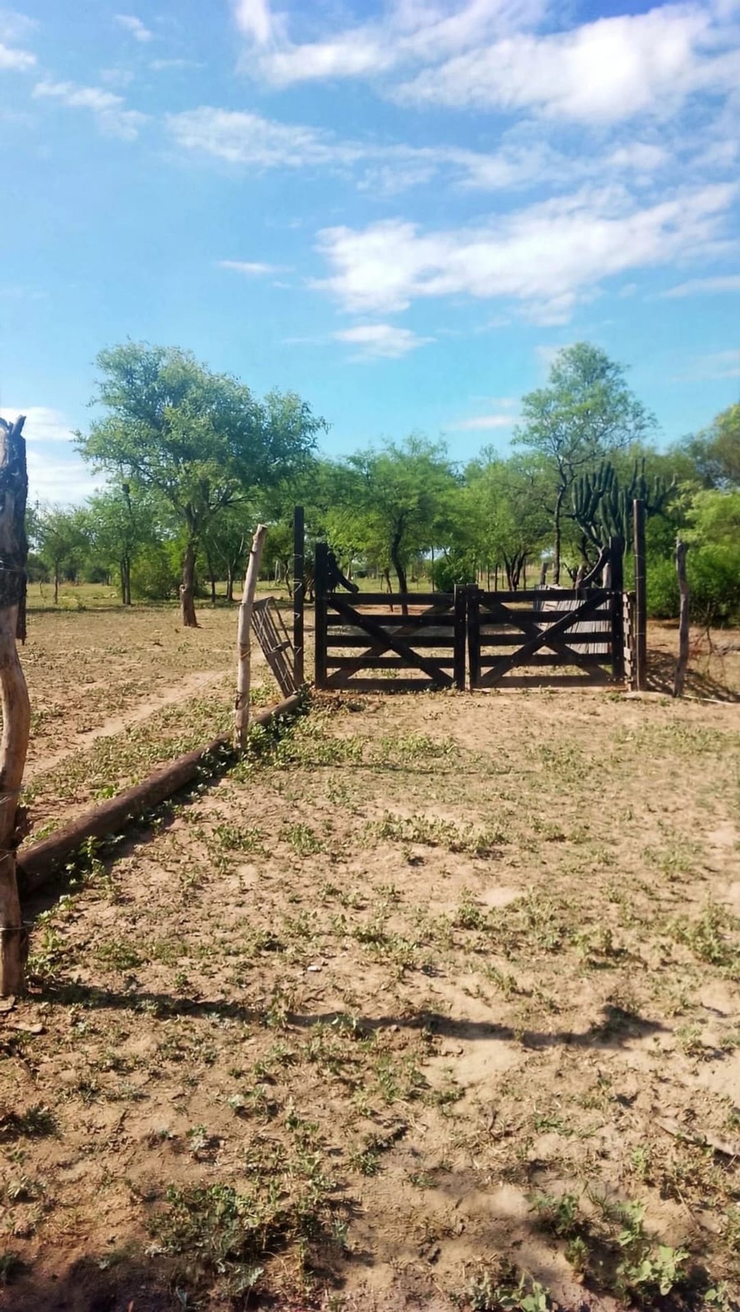 VENDO HECTAREA -EL MANANTIAL-