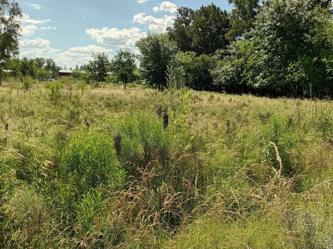 VENTA LOTE 5.000M2 EN GRAL. RODRIGUEZ RUTA 24