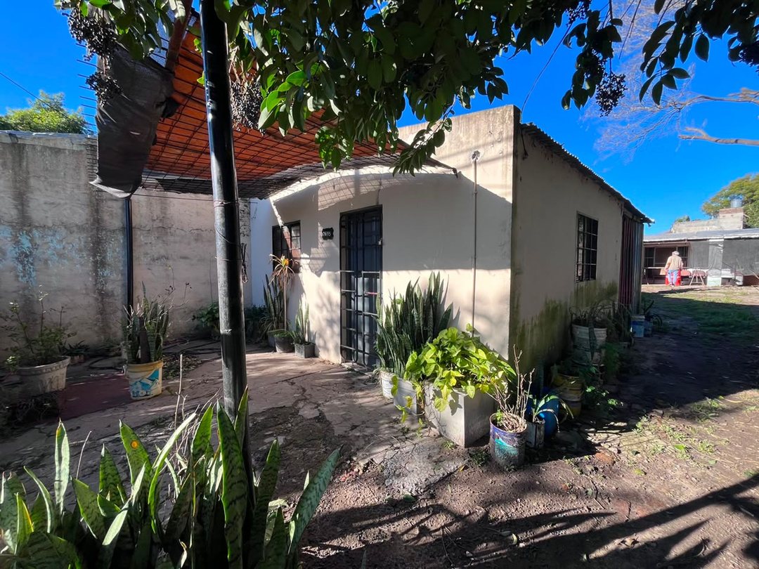 Dos casas a reciclar en un amplio terreno