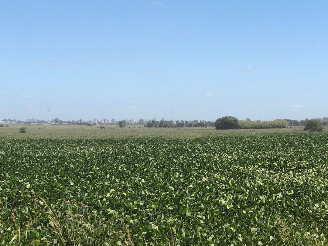 CAMPO EN VENTA EN PERGAMINO