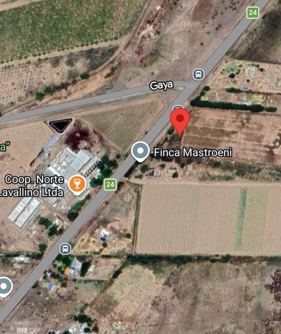 VENTA DE 70 HECTAREAS SOBRE RUTA 24, LAVALLE