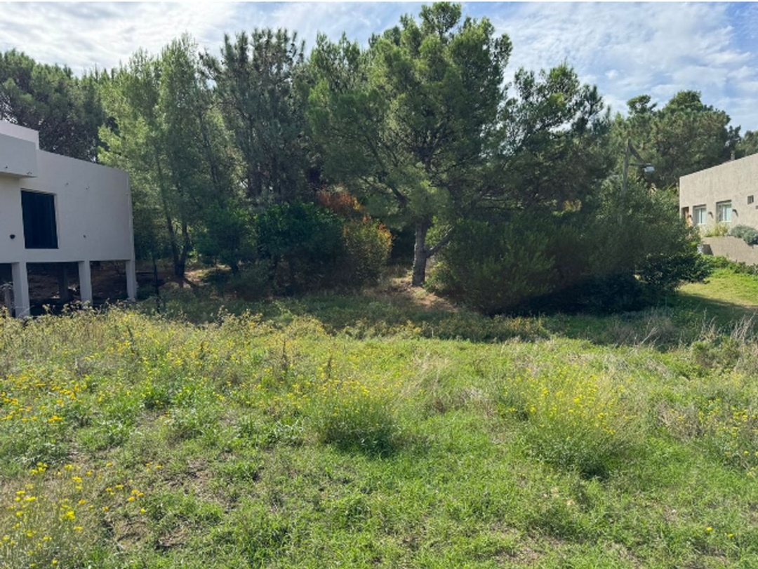 VENTA LOTE AVD SANSOT Y EL GAVILAN - MONTE HERMOSO