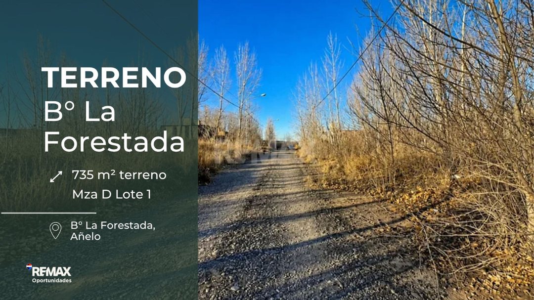 TERRENO EN VENTA, LA FORESTADA, AÑELO.