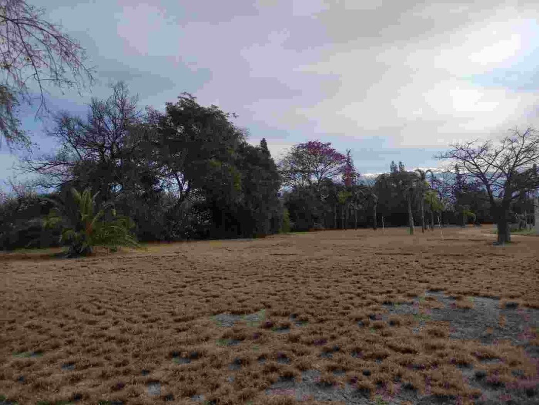 Terreno En Venta Nivelado En Santa Rosa Valle Viej