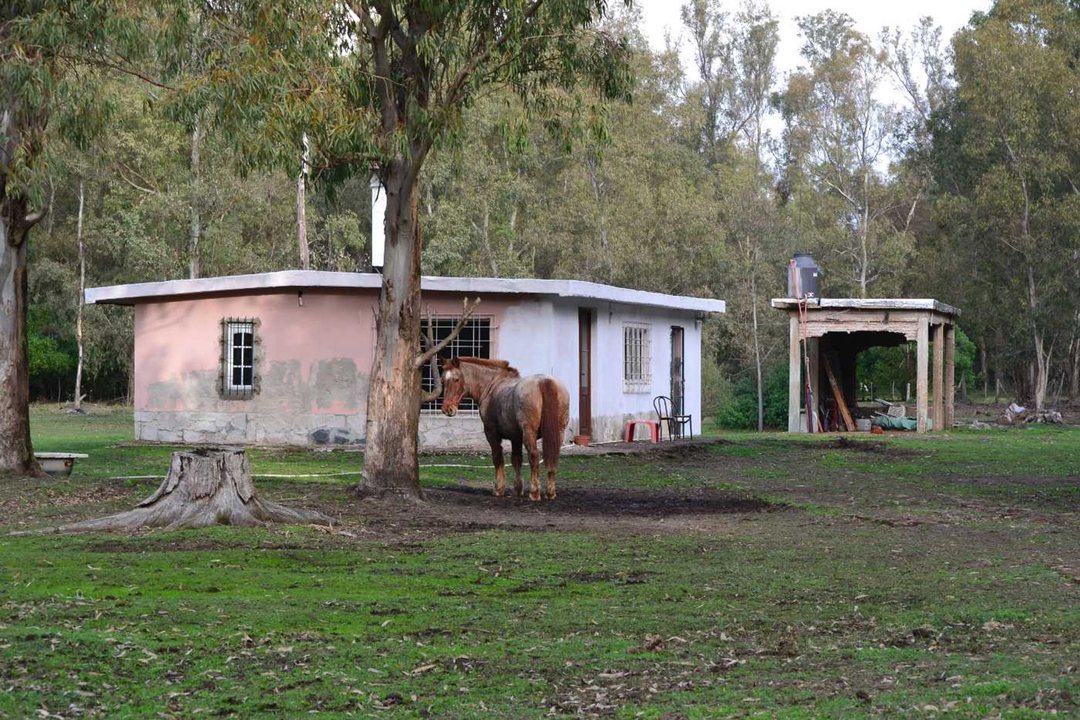 Lote en Chascomús Venta 1 Ha Casa a reciclar