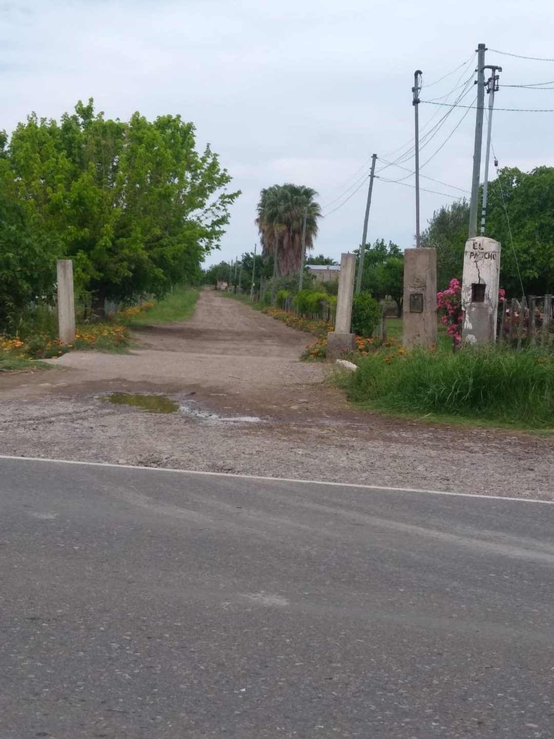 VENTA CAMPO AGRICOLA - CAÑADA SECA -SAN RAFAEL