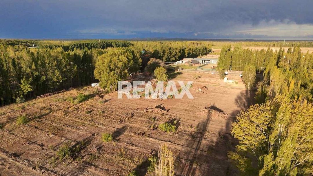 Venta terreno Cardales calle San Luis Cipolletti