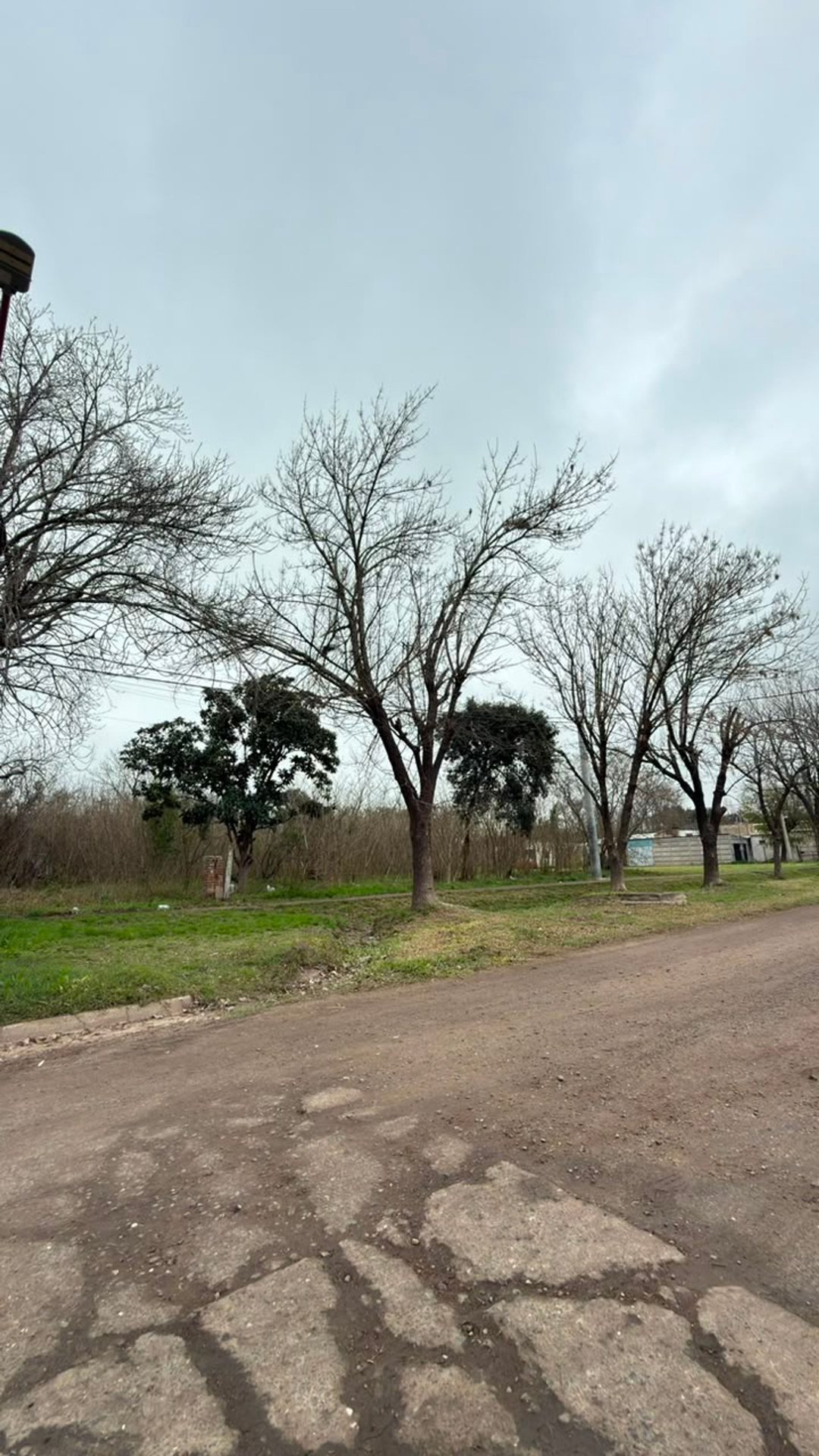 VENTA DE MACIZO EN PILAR