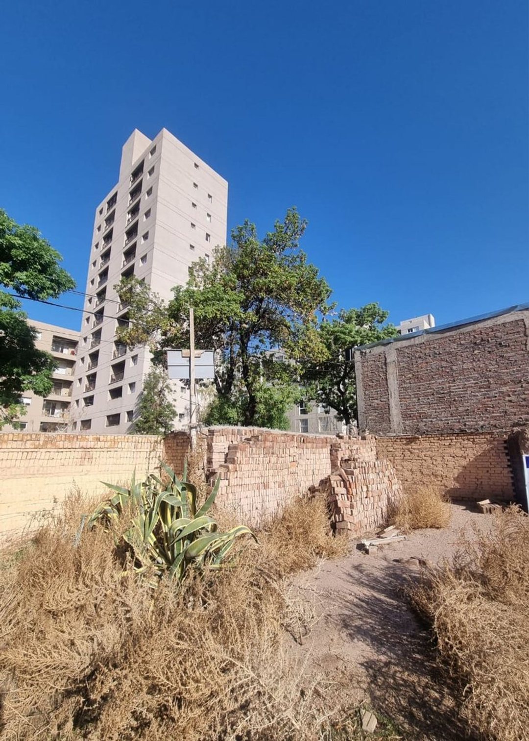 VENTA DE LOTE EN MENDOZA SEXTA TIBURCIO BENEGAS