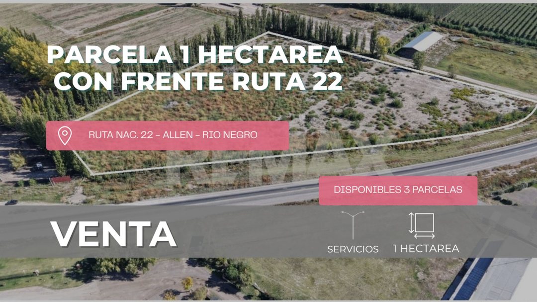 VENTA - PARCELA 1 HECTAREA FRENTE RUTA 22 - ALLEN