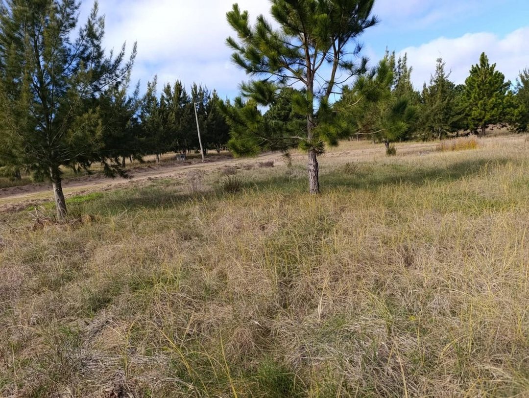 VENTA LOTE 1000 METROS COSTA DEL ESTE