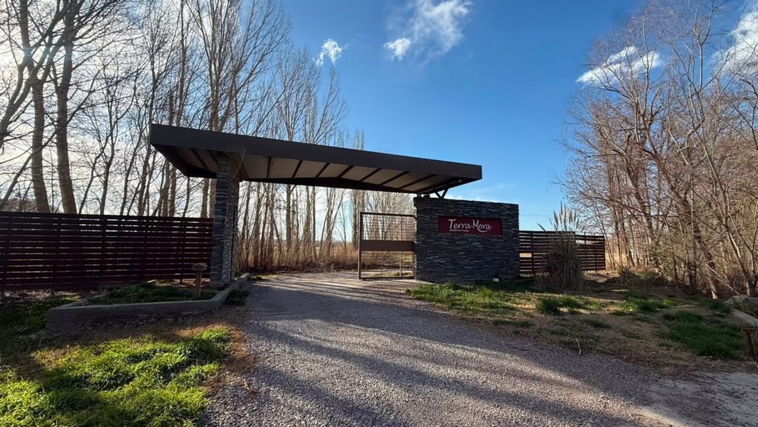 LOTE EN VENTA- TUNUYAN / BARRIO TERRA MORA