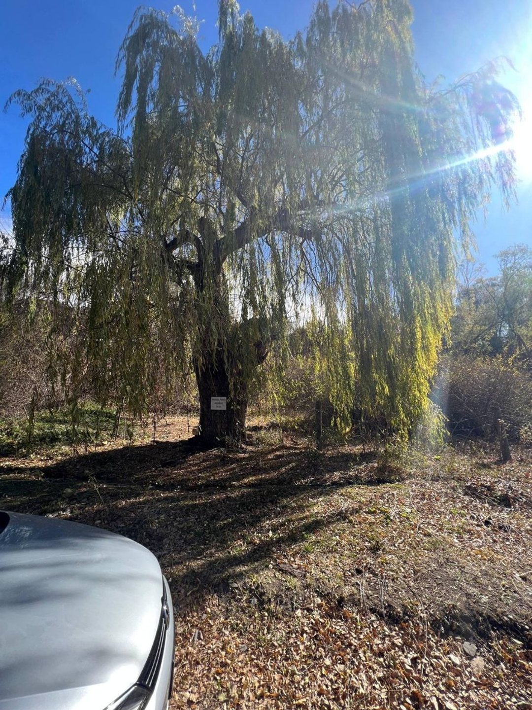 Venta de Lote en Potrerillos