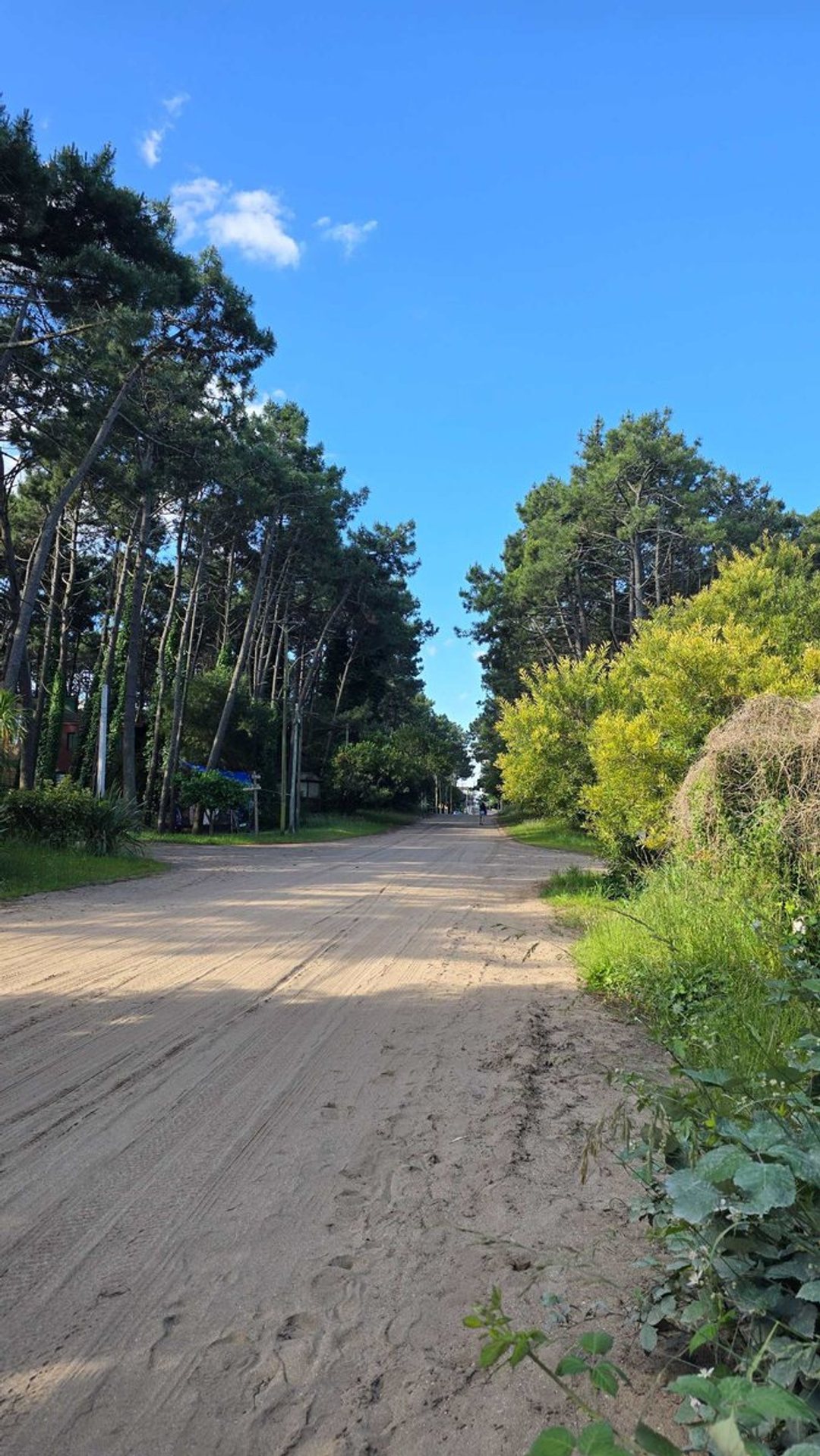 LOTES EN VENTA MAR AZUL APTO COMERCIAL ZONA CENTRO