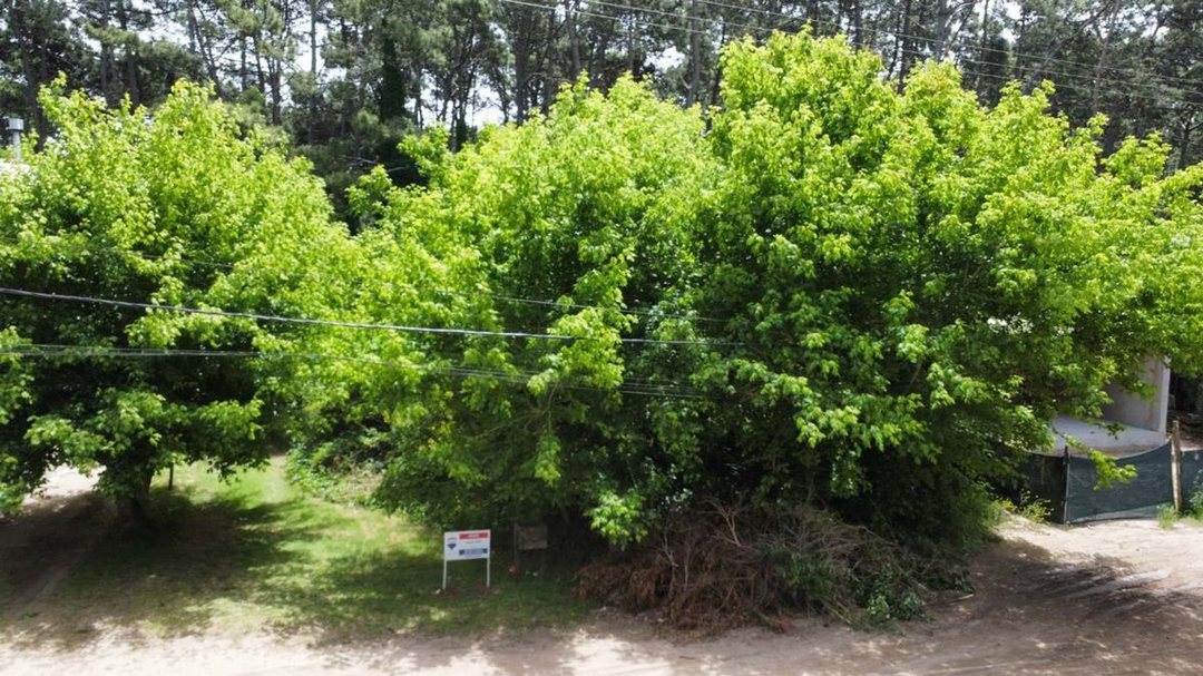 LOTE EN VENTA MAR AZUL APTO COMERCIAL ZONA CENTRO