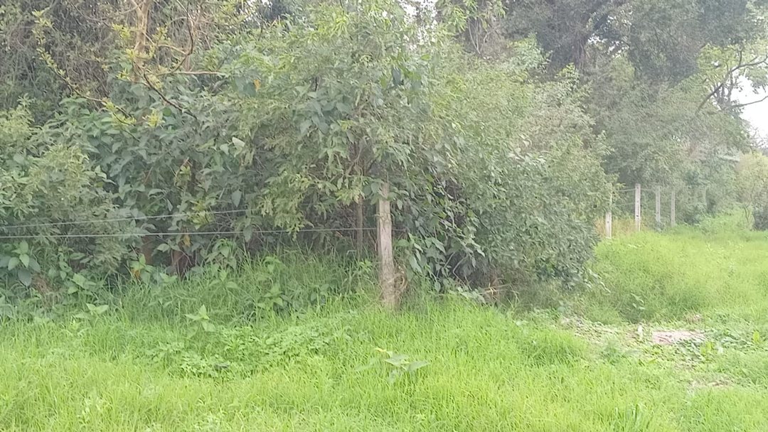 1 HECTAREA EN MARGARITA BELEN