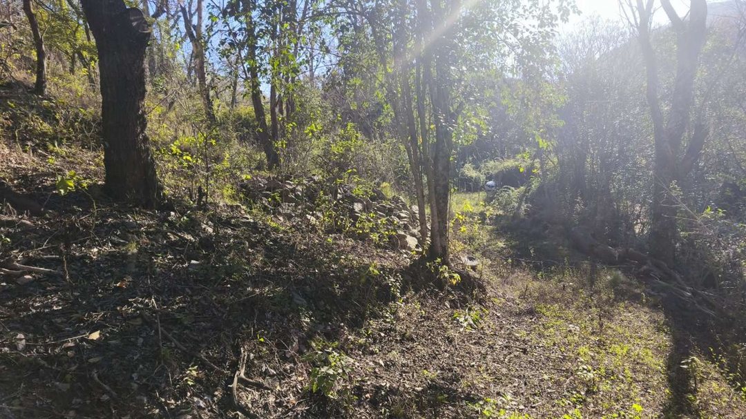 VENTA LOTE CAMINO PAN DE AZUCAR