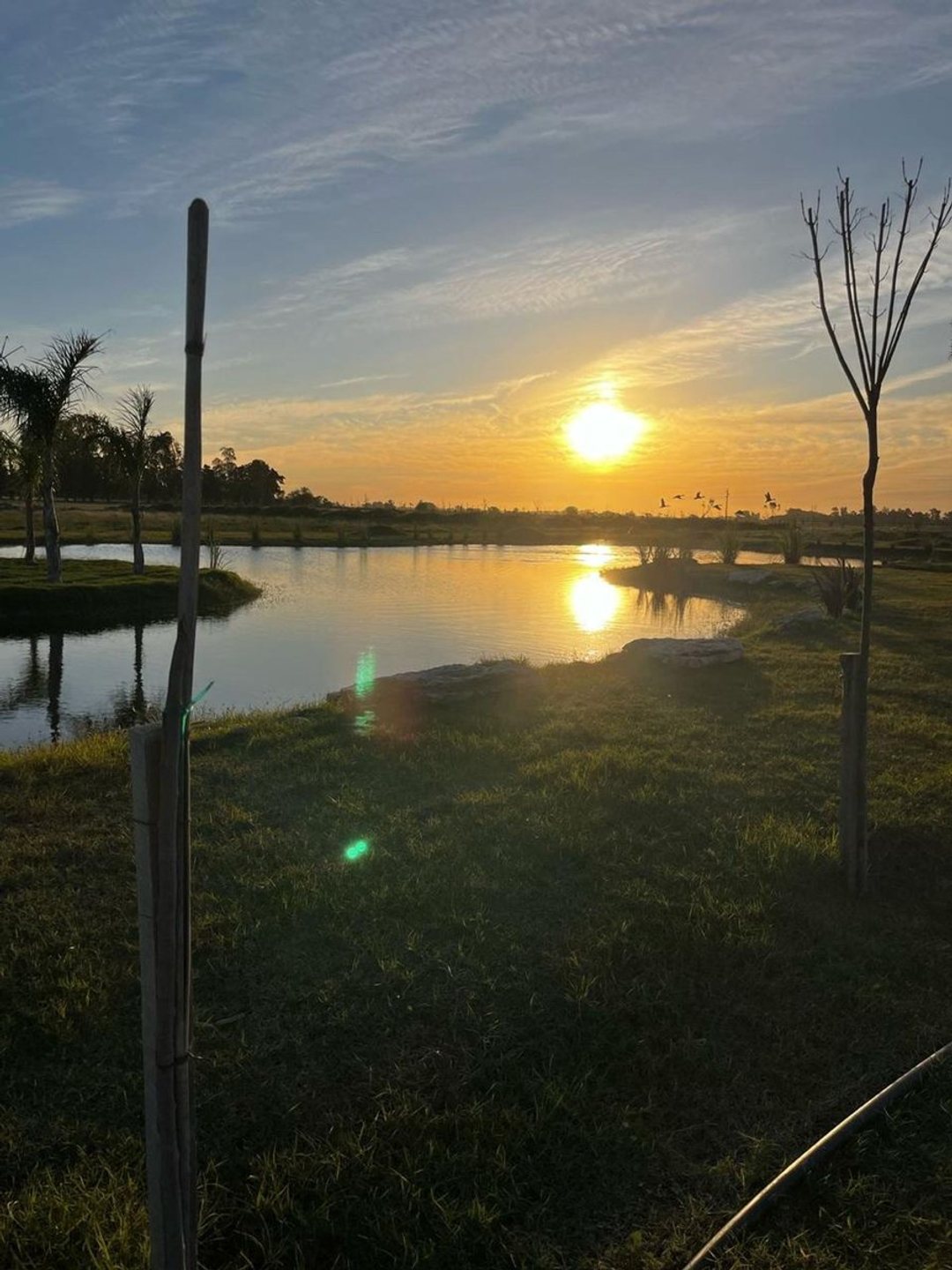 Venta Lote 700 mts en Haras Andrea Virginia