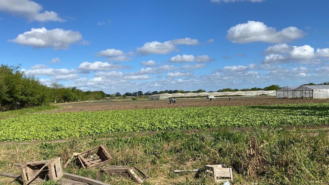 HECTAREAS EN VENTA LA PLATA OLMOS