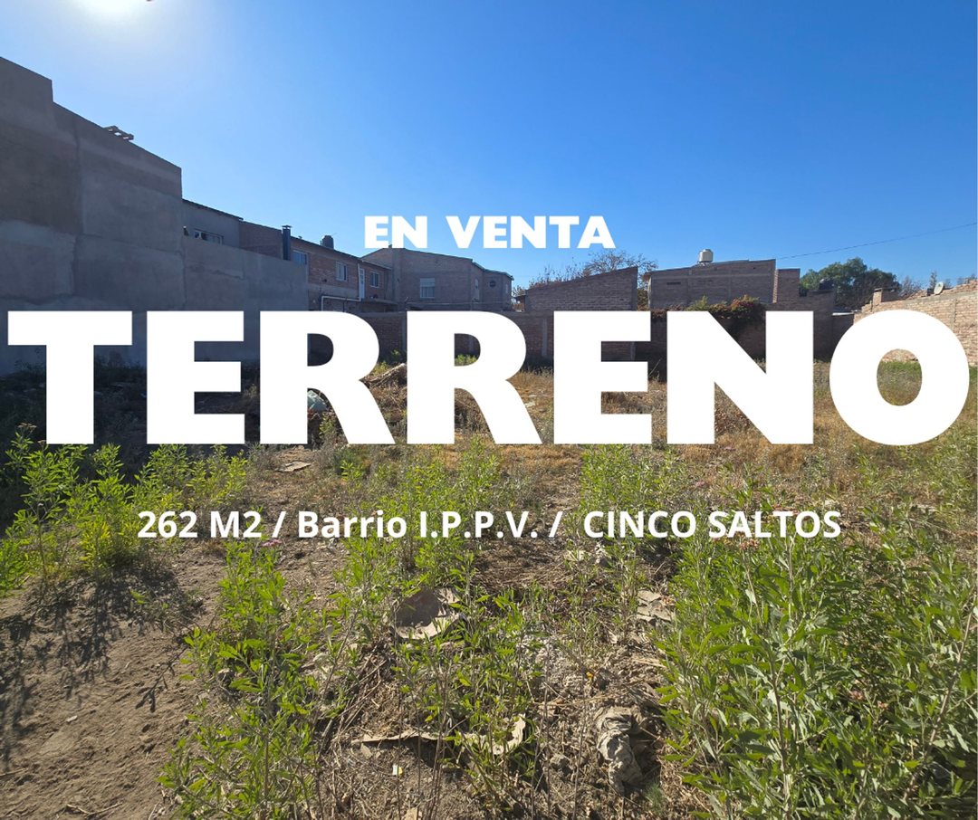 VENTA LOTE ZONA CENTRO CINCO SALTOS