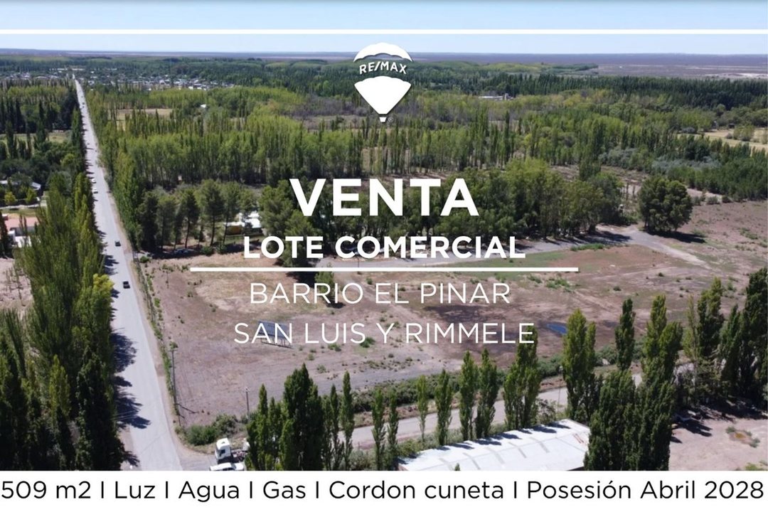 VENTA LOTE COMERCIAL EN POZO I LOTEO EL PINAR