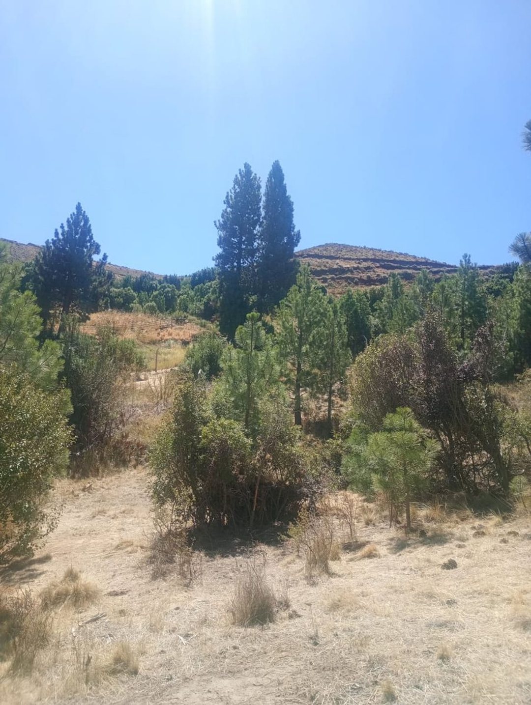Terreno en Villa Ayelen El Maitenal