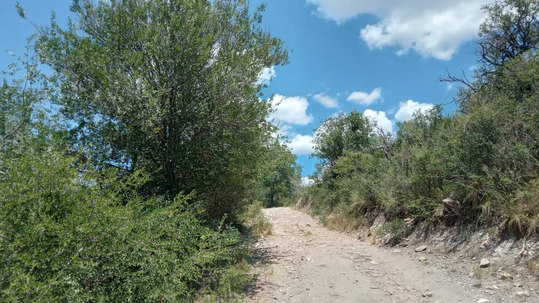 Venta Lote 22.563 m2 San Esteban - Vista Sierras