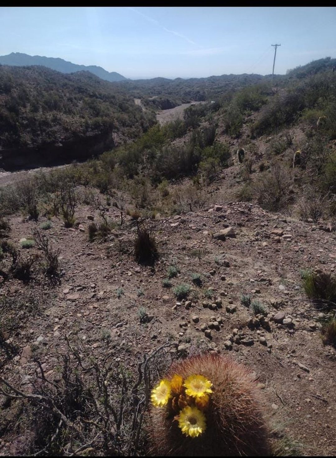 Venta de lotes en Cacheuta, Mendoza