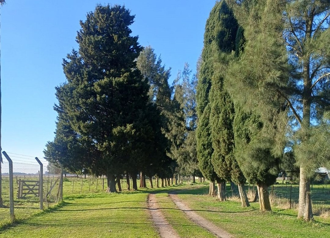 Campo de 30 Hectáreas en venta sobre Ruta 36