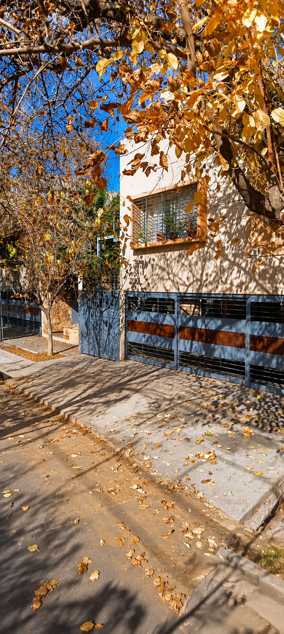 ALQUILER DEPARTAMENTO