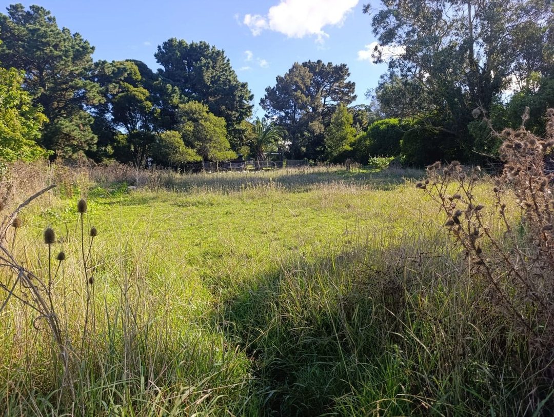 VENTA LOTE SANTA CELINA 600 M2