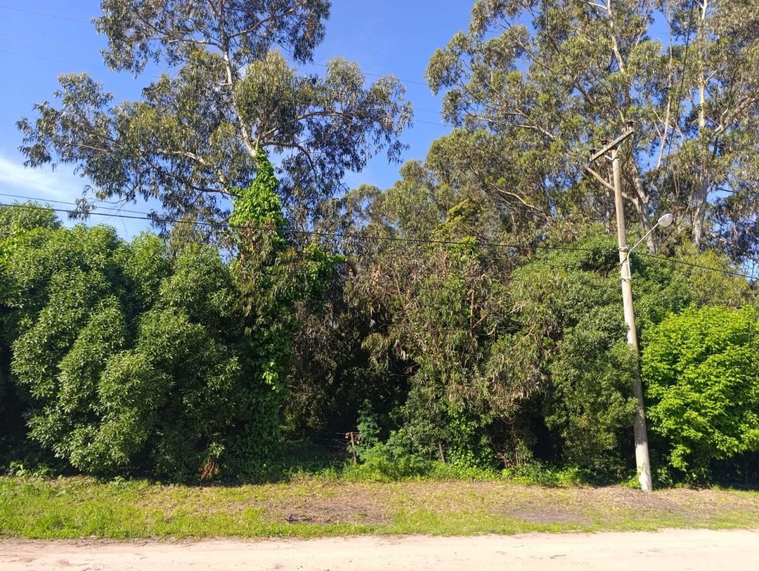 Venta Lote Barrio Santa Celina
