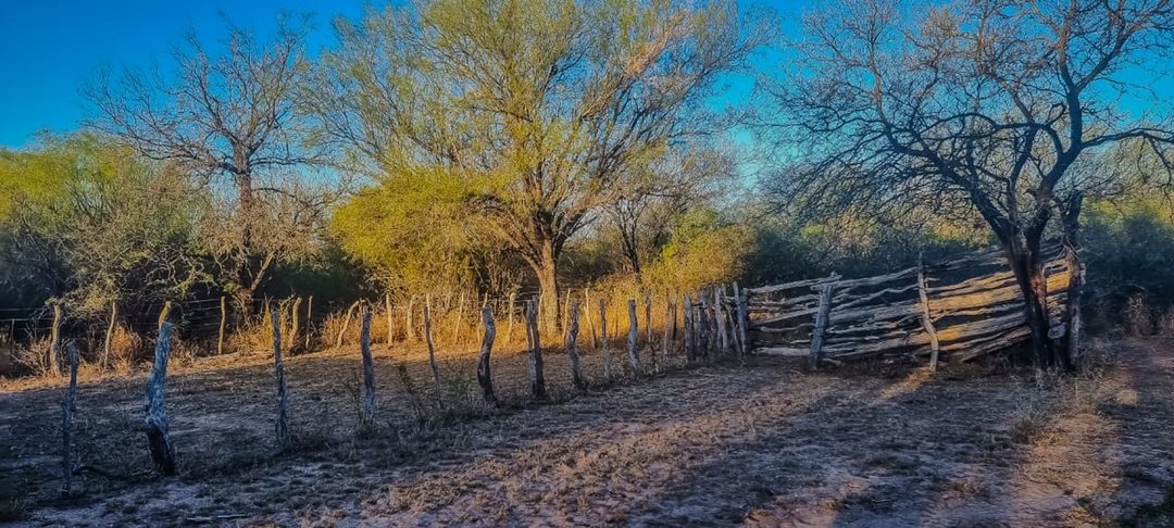 VENTA DE CAMPO EN ARBOL SOLO - SAN LUIS