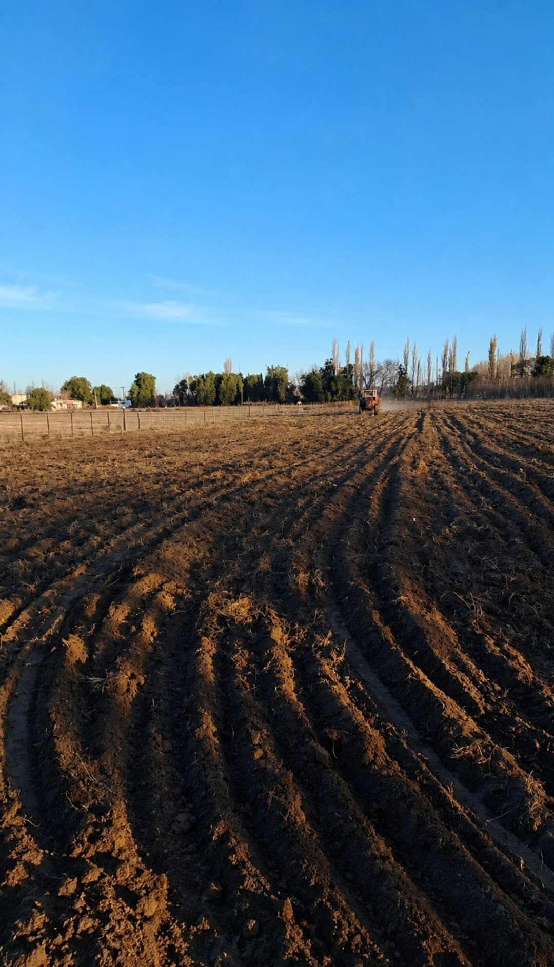 Terreno en venta Ruta 188 y Echeverria Gral Alvear