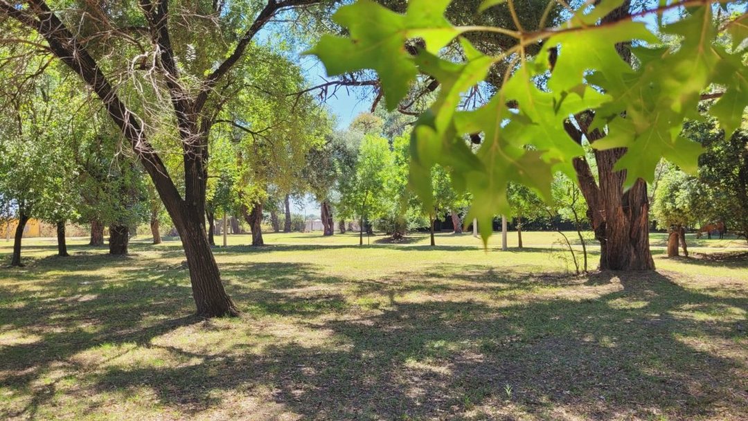 Lote 451m2 en Venta ALTO LOS ROBLES - Ibarlucea