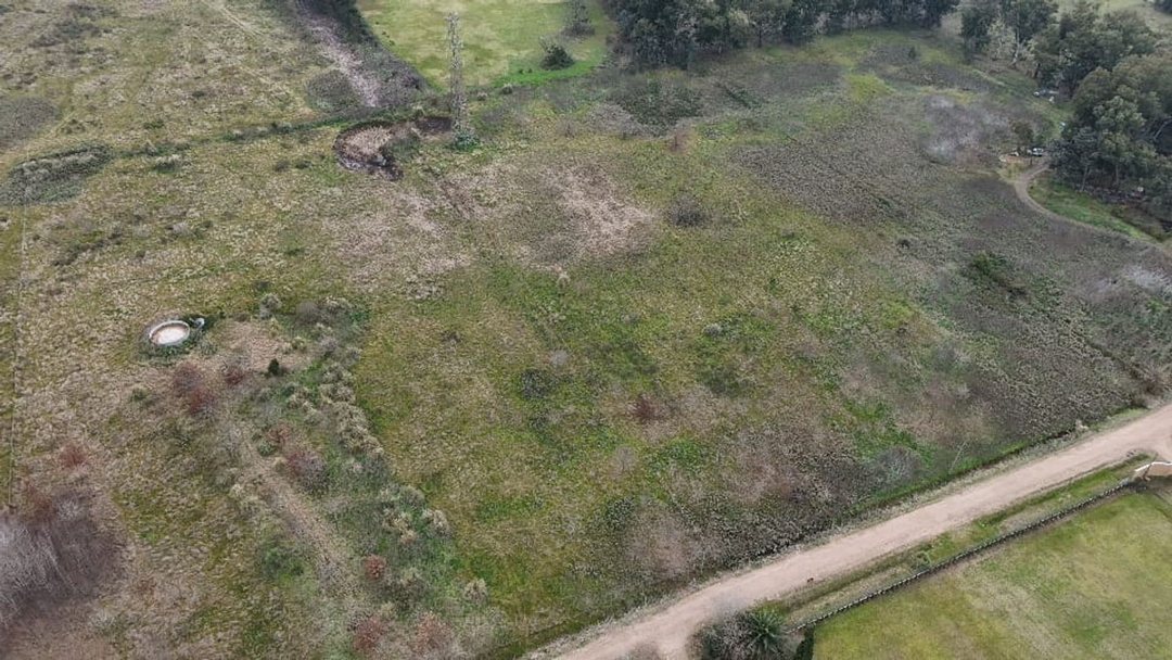 CAMPO/TERRENO DE 18.500m2 -502e/202 y 208(ABASTO)