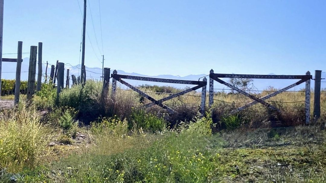 Venta de 75 hectáreas sobre Ruta 89 Tupungato