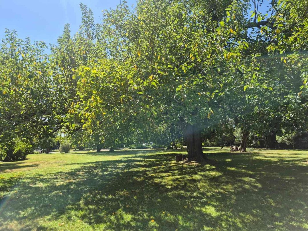 Lote en Club de Campo San Diego (10)