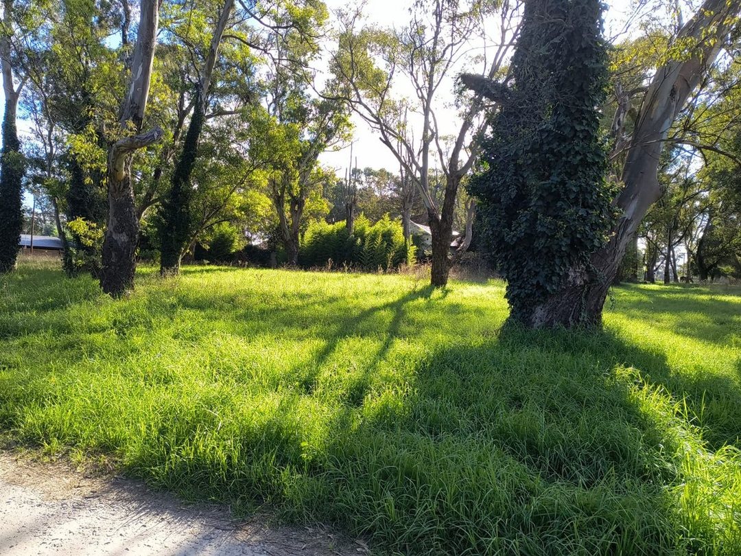 VENTA LOTE 700 MTR2 - SANTA CELINA