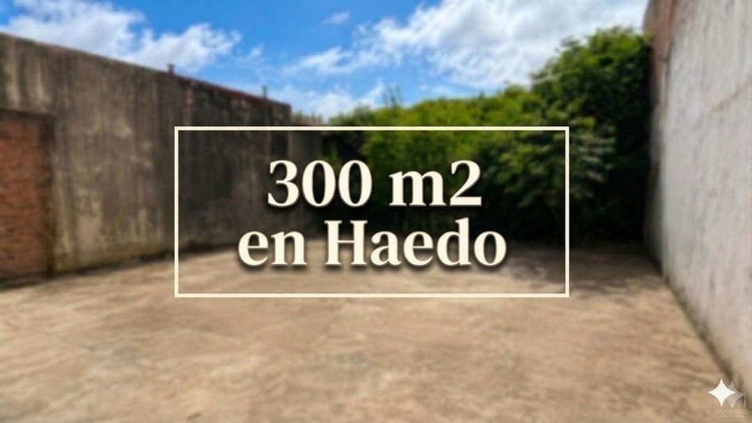 VENTA LOTE HAEDO OPORTUNIDAD 300 m2