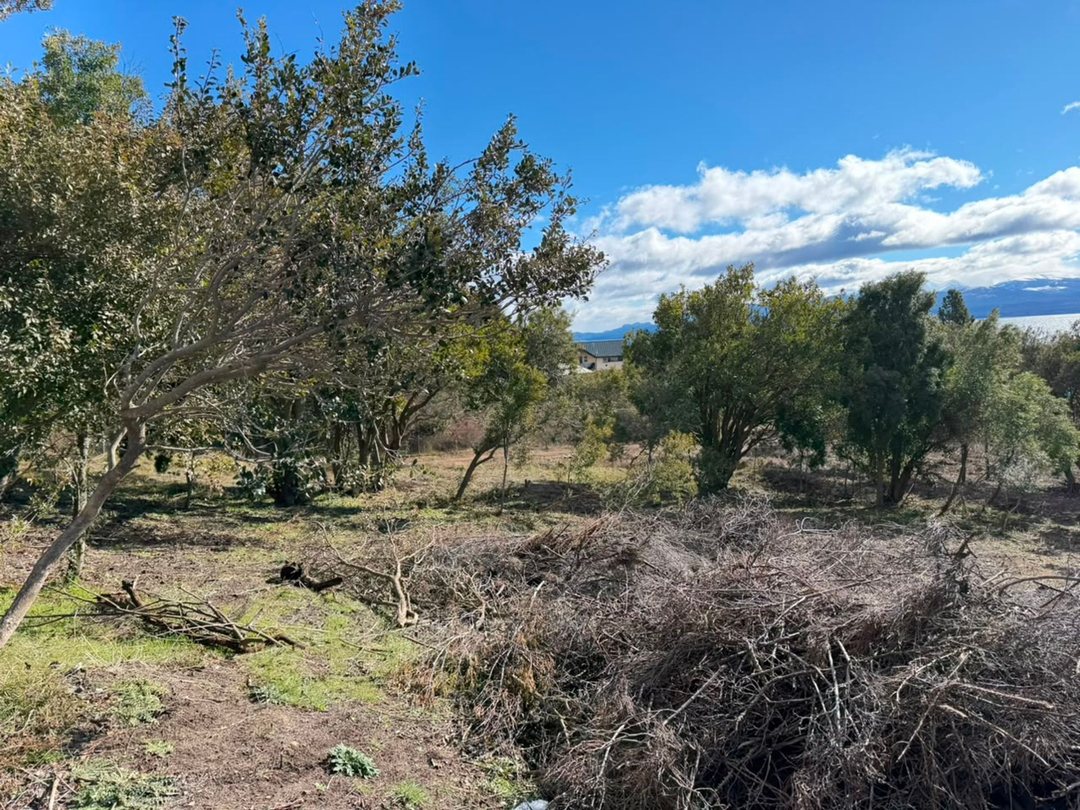 Lote solares del Este