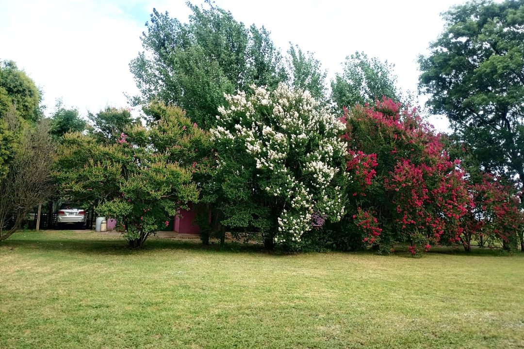 ALQUILER CASA Y 1 HECTAREA DE LOTE CAÑADA DE GOMEZ