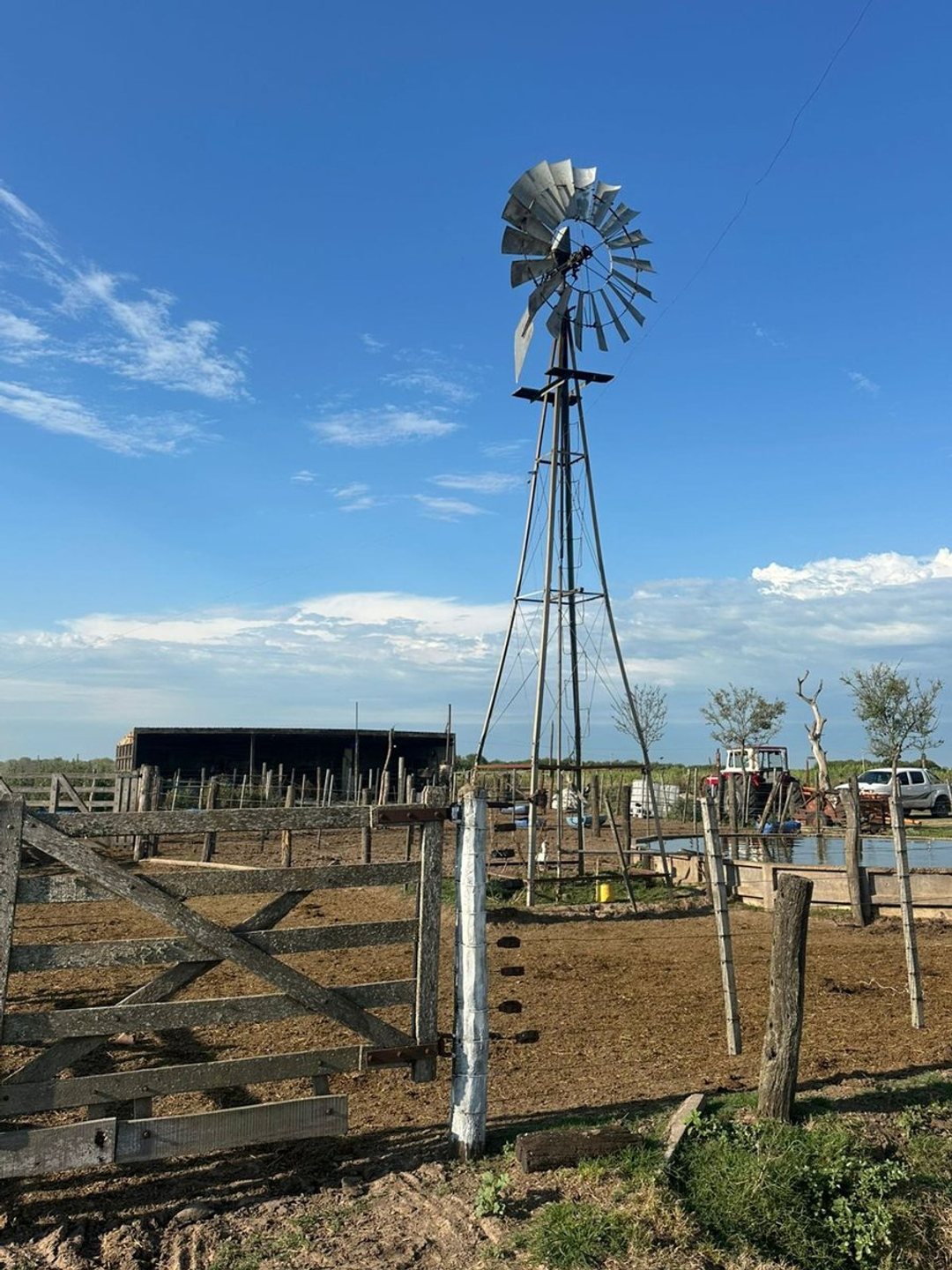 VENTA DE CAMPO EN SAN JERONIMO DEL SAUCE 252 has