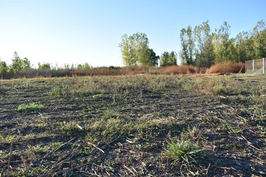 Venta Terreno Capiz San Carlos Mendoza
