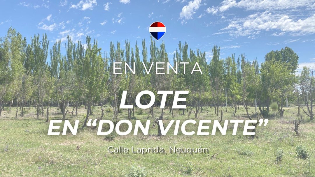 LOTE E19 EN VENTA EN NEUQUÉN DON VICENTE