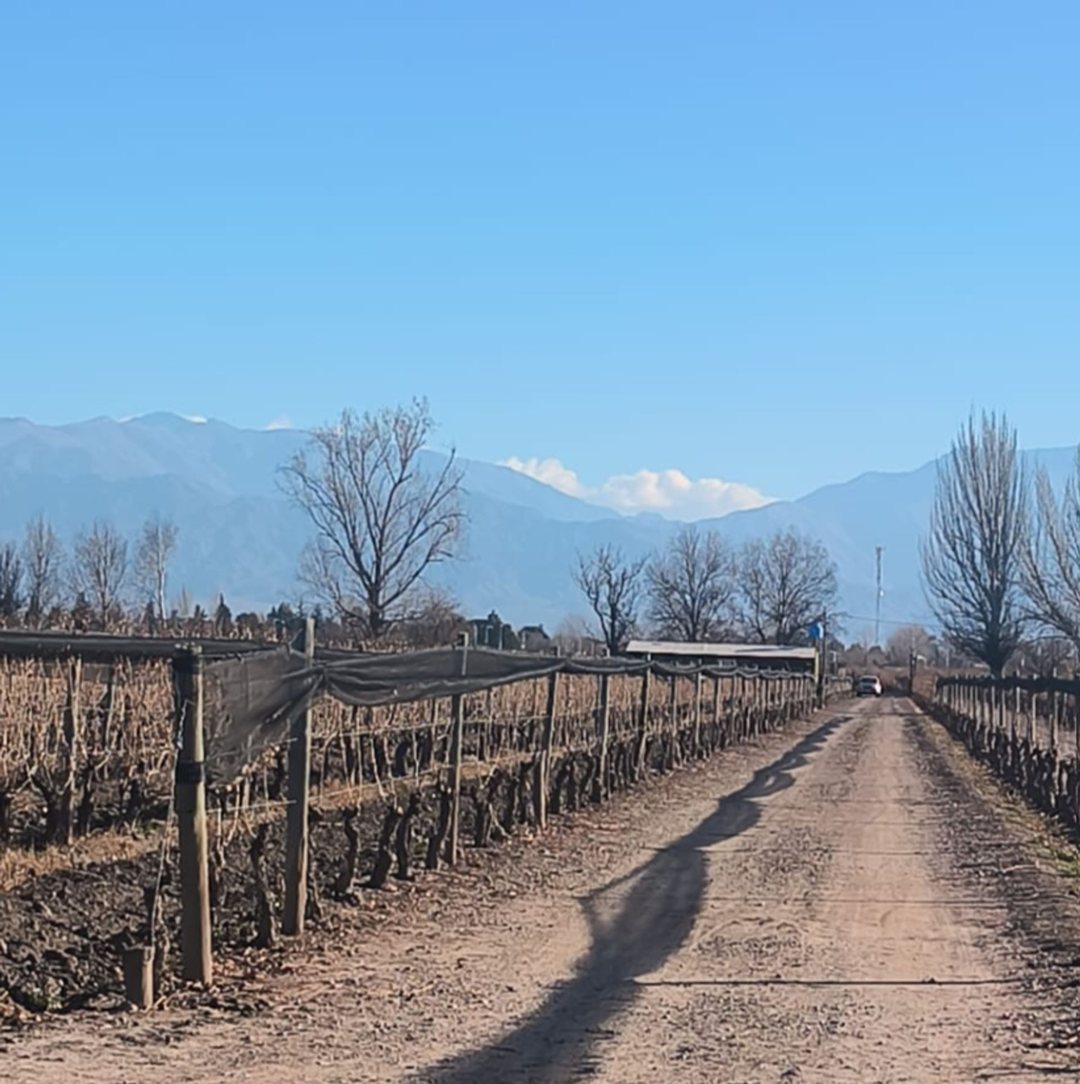 Finca 18 has con Viñedos en Venta en Valle de Uco